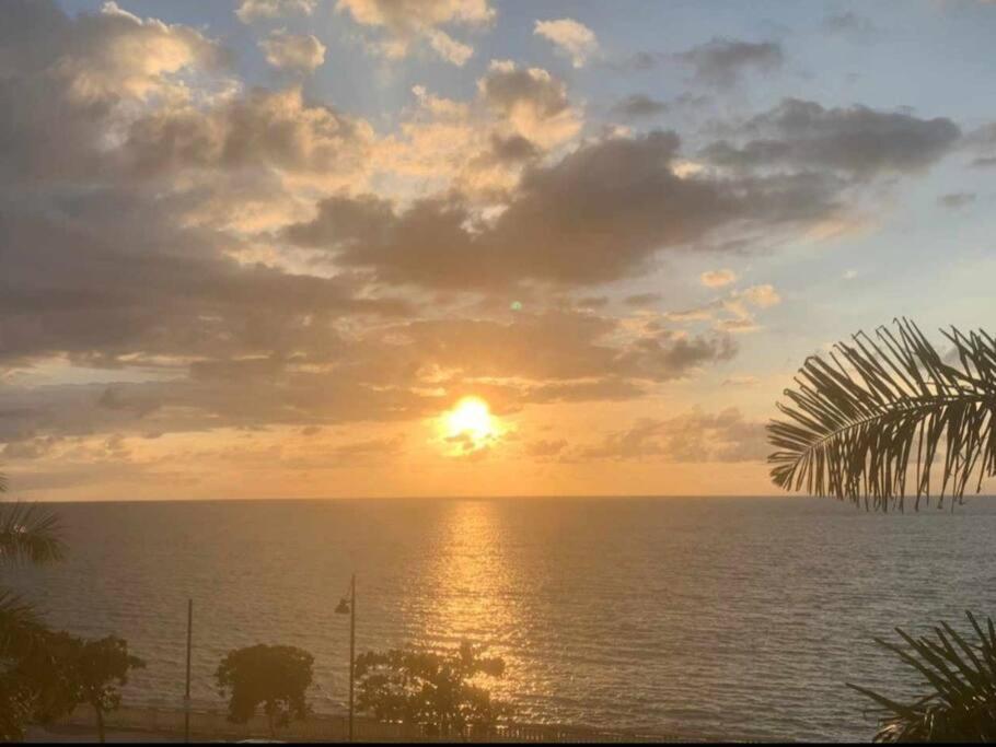 Summer All Year! Oceanfront With Pool A/C Aguadilla Dış mekan fotoğraf