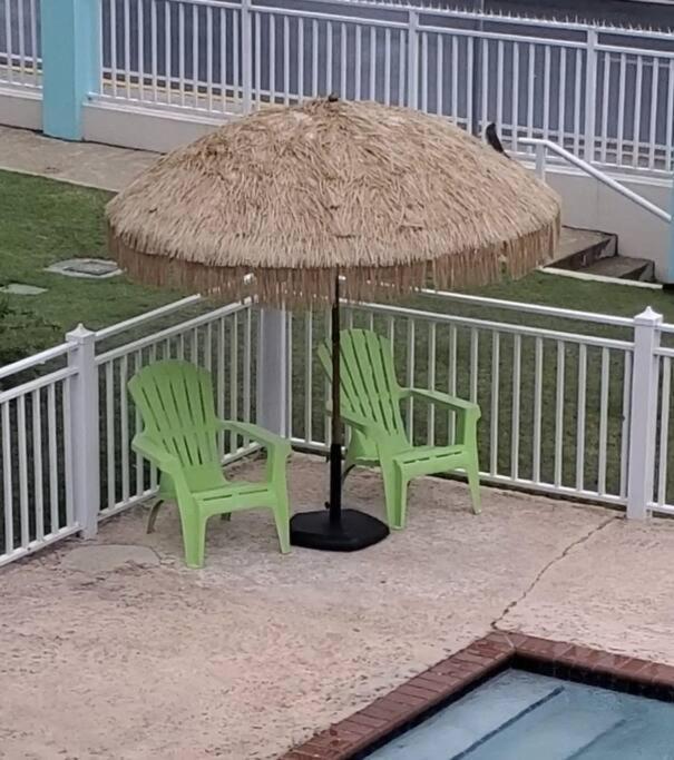 Summer All Year! Oceanfront With Pool A/C Aguadilla Dış mekan fotoğraf