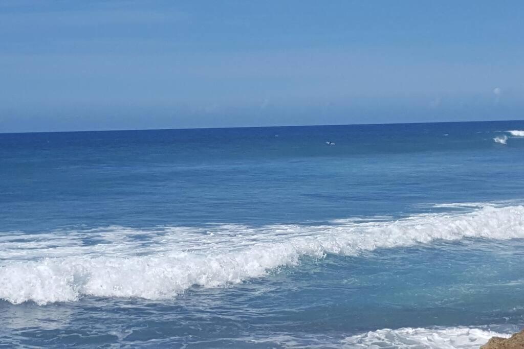 Summer All Year! Oceanfront With Pool A/C Aguadilla Dış mekan fotoğraf