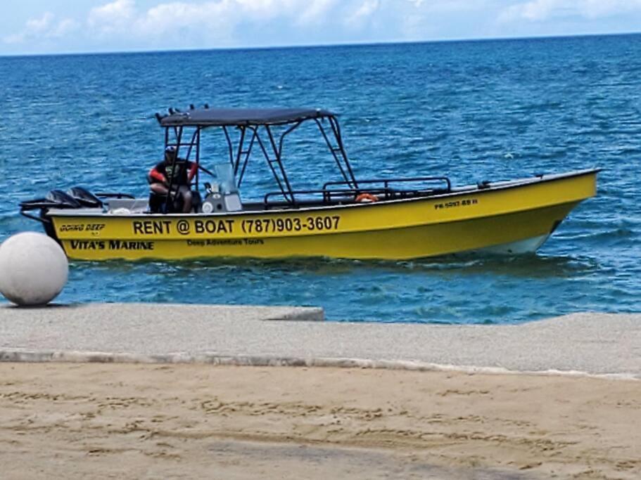 Summer All Year! Oceanfront With Pool A/C Aguadilla Dış mekan fotoğraf